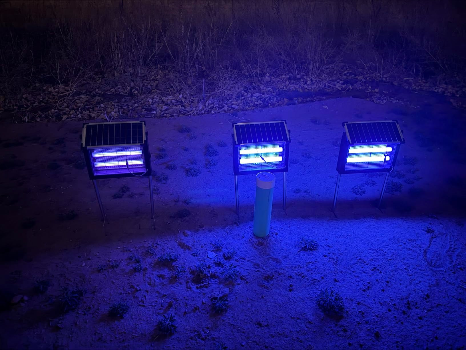 Three Viva Neck zappers glowing blue at night