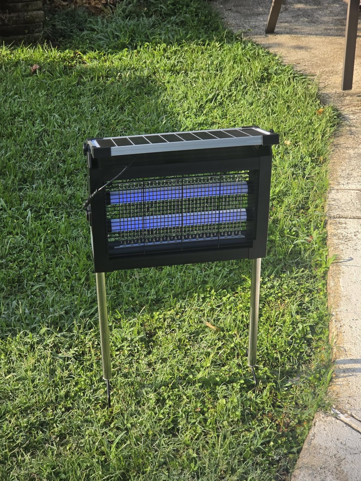 Solar bug zapper staked in a backyard lawn